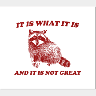 It Is What It Is And It Is Not Great, Funny Sweatshirt, Raccoon Sweatshirt, Cartoon Meme Top, Vintage Cartoon Posters and Art